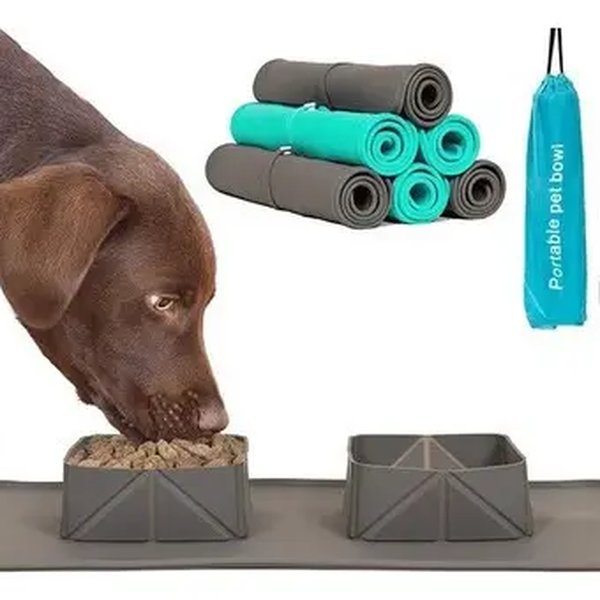 Rakun Pets — Plato Plegable Silicona Doble Gris Portátil