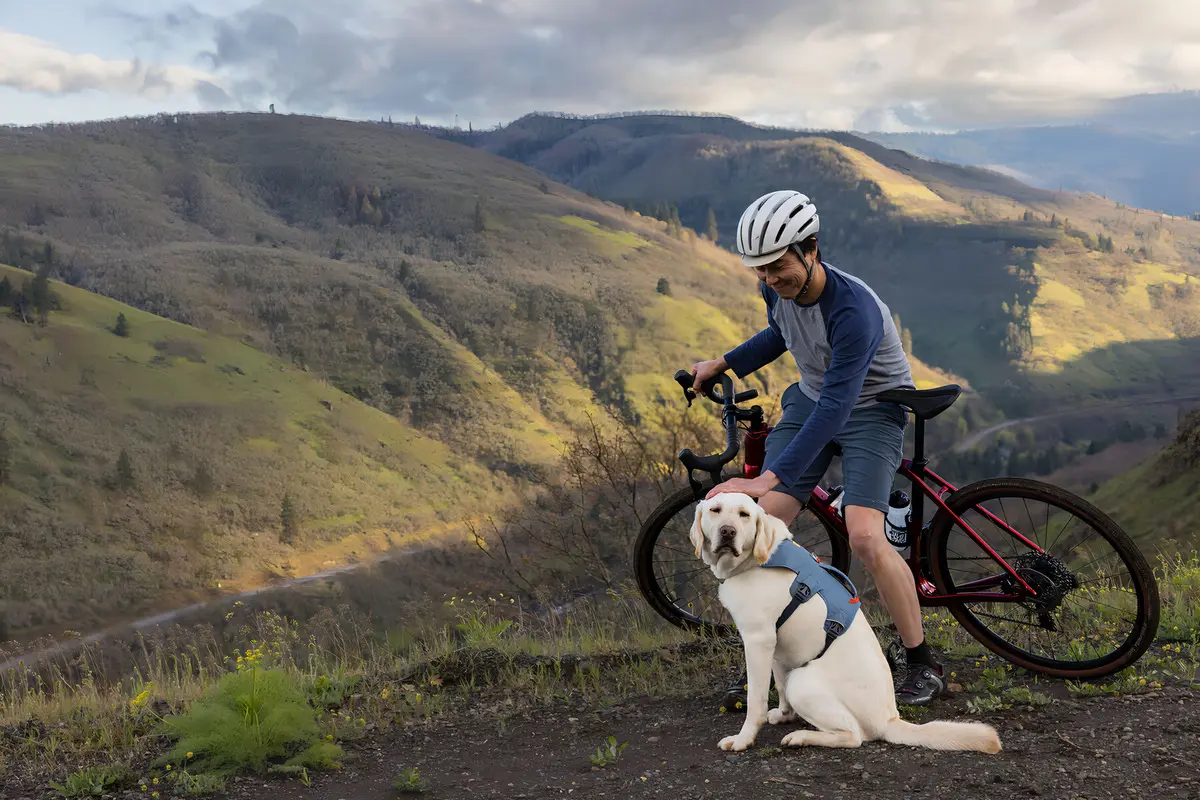 Arnés Para Perro M Ruffwear Webmaster Azul Acero Ansas Seguras